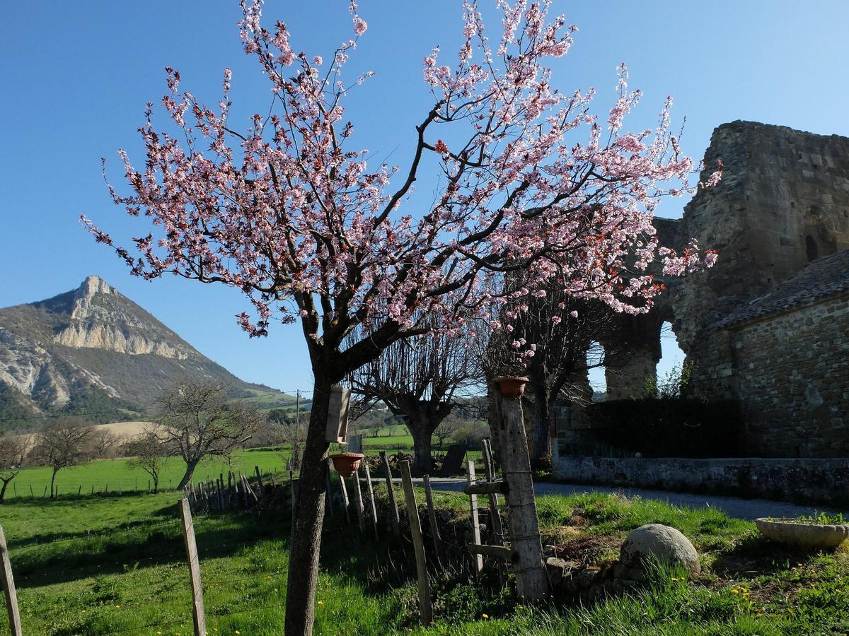 Auberge Du Prieure Saint-André-de-Rosans Esterno foto