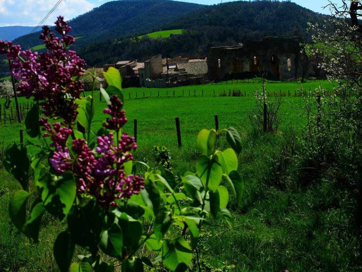 Auberge Du Prieure Saint-André-de-Rosans Esterno foto